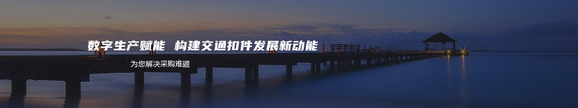 首页-合众商城banner